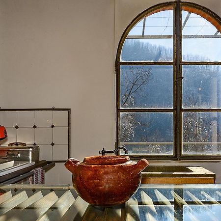 La Limonaia Di Casagrande Βίλα Barga Εξωτερικό φωτογραφία