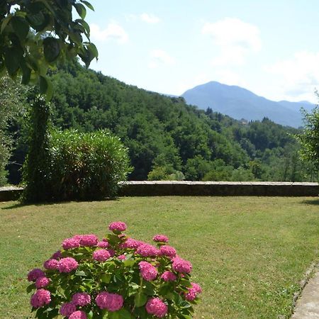 La Limonaia Di Casagrande Βίλα Barga Εξωτερικό φωτογραφία