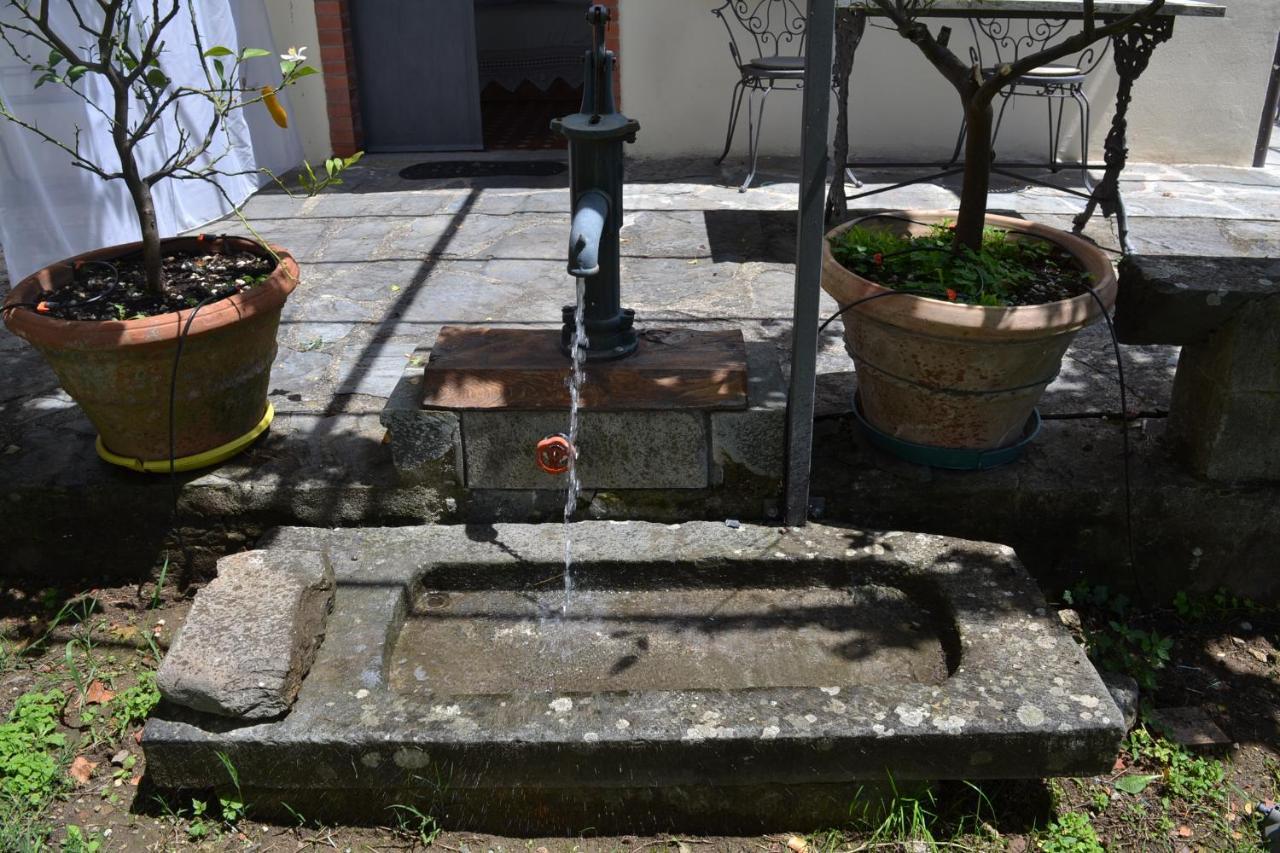 La Limonaia Di Casagrande Βίλα Barga Εξωτερικό φωτογραφία