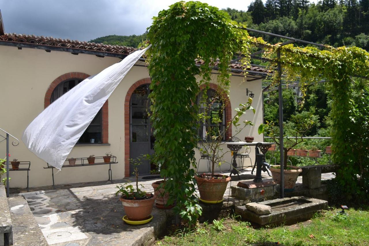 La Limonaia Di Casagrande Βίλα Barga Εξωτερικό φωτογραφία