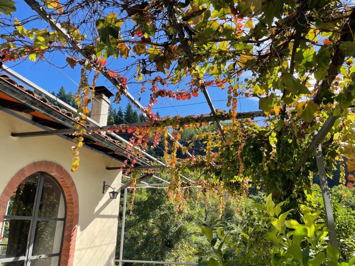 La Limonaia Di Casagrande Βίλα Barga Εξωτερικό φωτογραφία