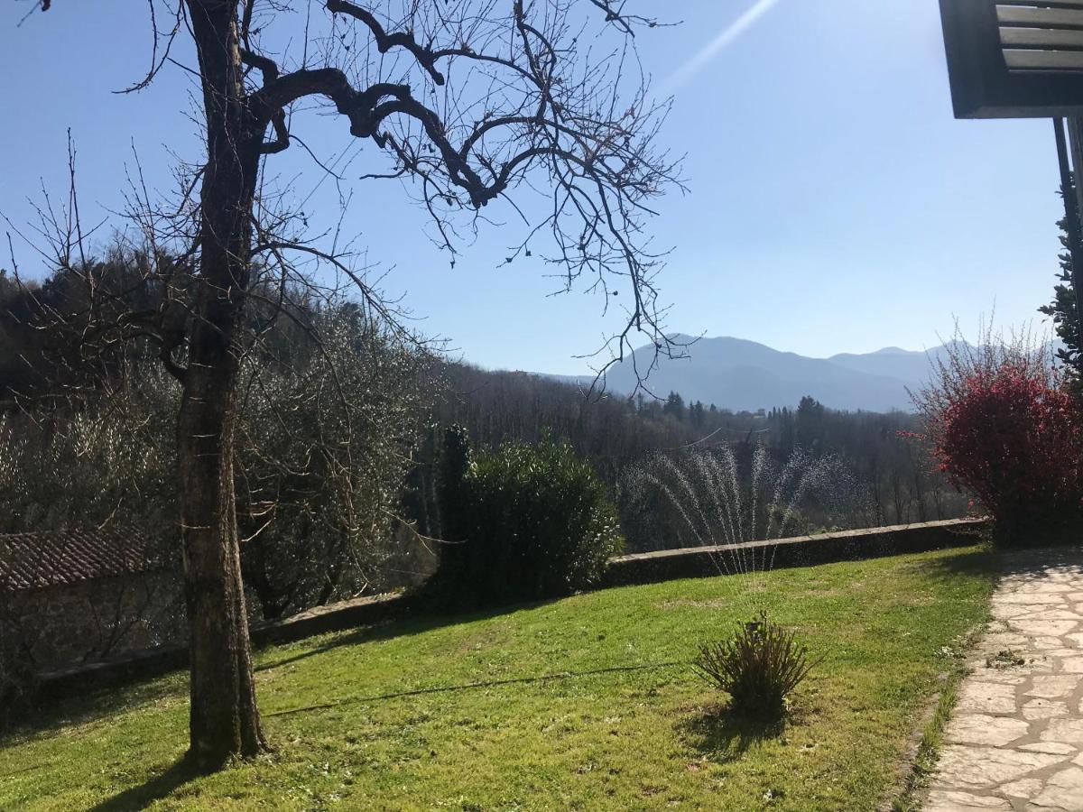 La Limonaia Di Casagrande Βίλα Barga Εξωτερικό φωτογραφία