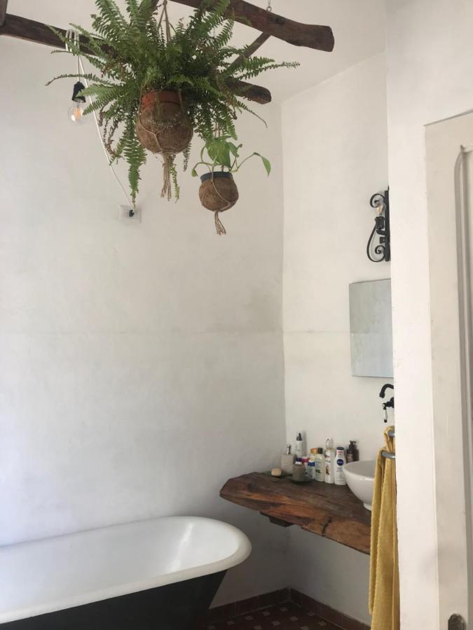 La Limonaia Di Casagrande Βίλα Barga Εξωτερικό φωτογραφία