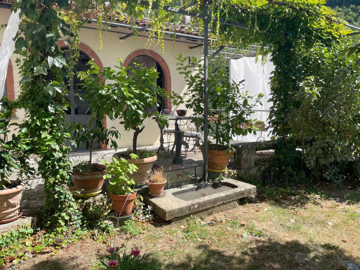 La Limonaia Di Casagrande Βίλα Barga Εξωτερικό φωτογραφία