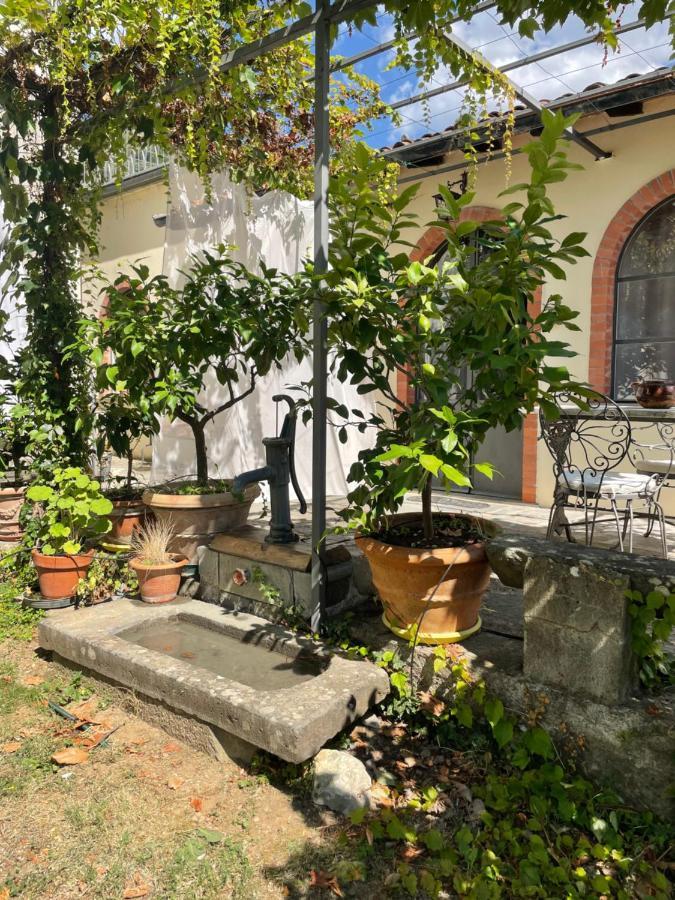 La Limonaia Di Casagrande Βίλα Barga Εξωτερικό φωτογραφία