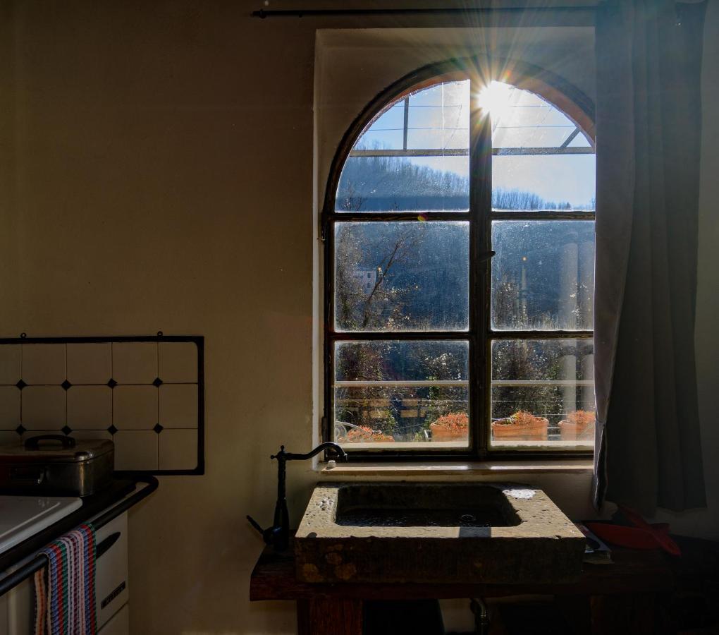 La Limonaia Di Casagrande Βίλα Barga Εξωτερικό φωτογραφία