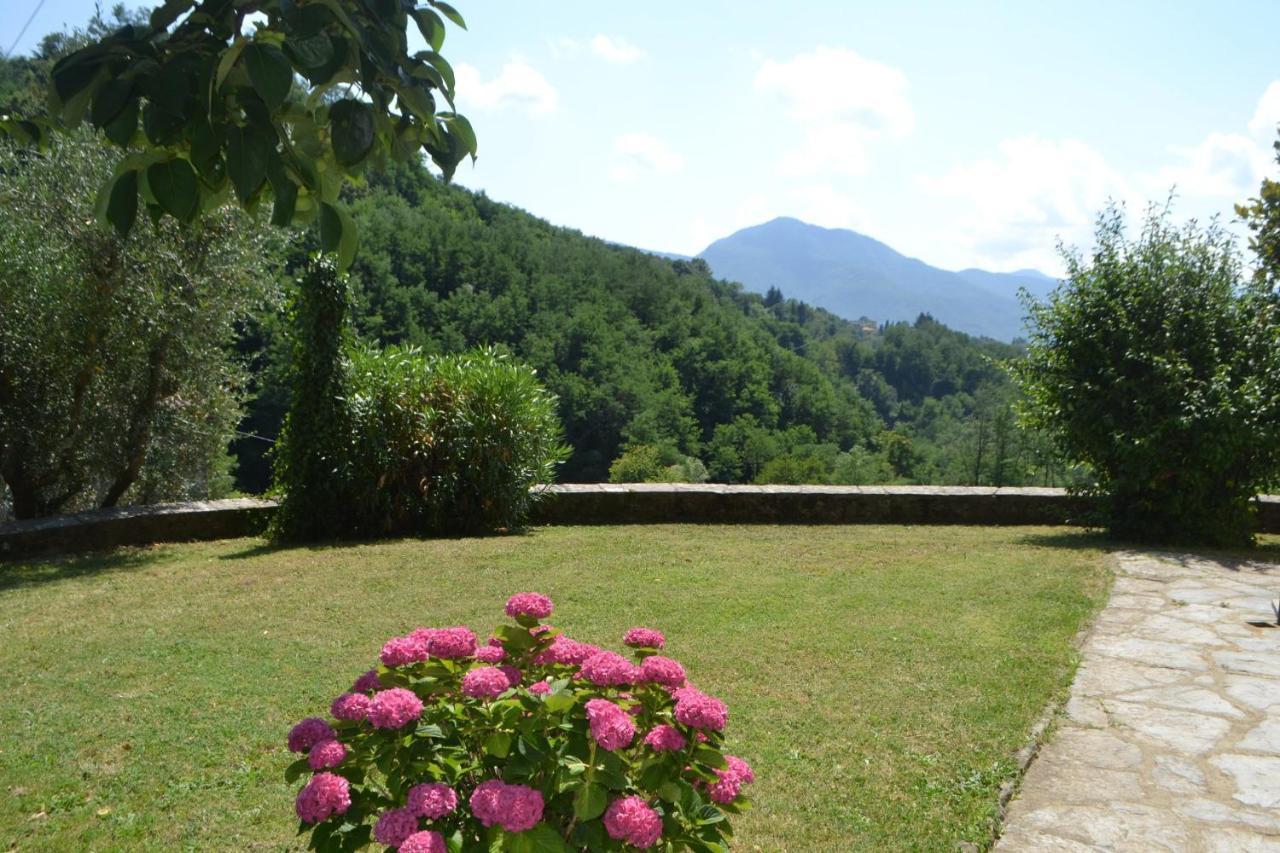 La Limonaia Di Casagrande Βίλα Barga Εξωτερικό φωτογραφία