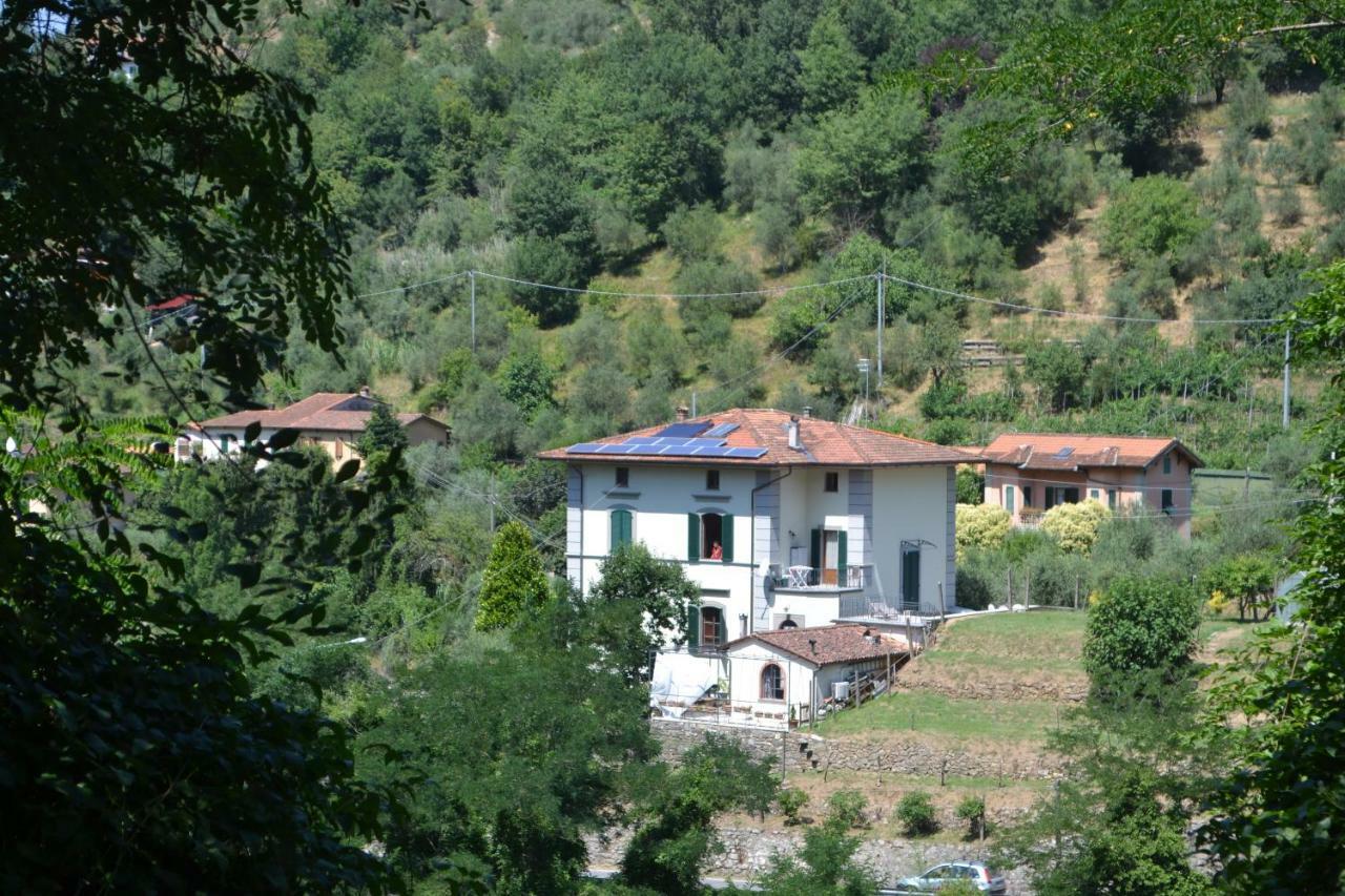 La Limonaia Di Casagrande Βίλα Barga Εξωτερικό φωτογραφία