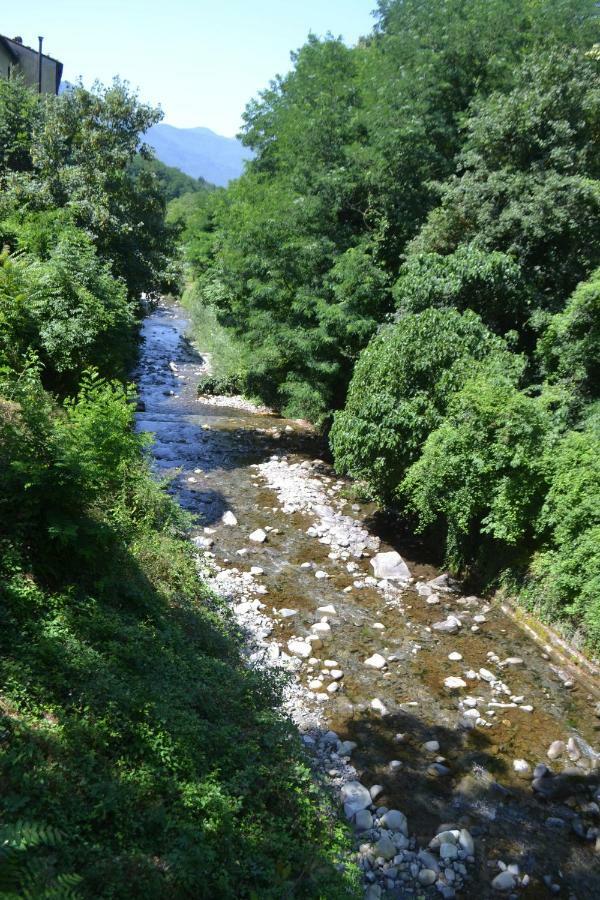 La Limonaia Di Casagrande Βίλα Barga Εξωτερικό φωτογραφία